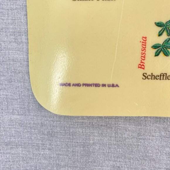 Vintage Tupperware Plant Care Sheet Plastic Mat 1977 Indoor Gardening Guide Mat - Picture 10 of 11